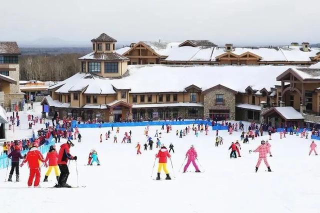 老年|2020，我们这样度过