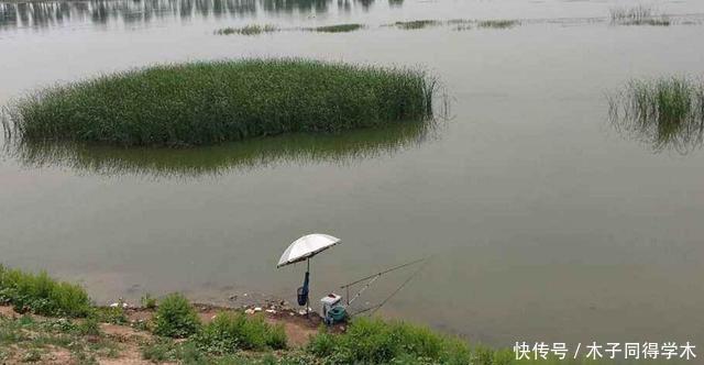 钓鱼时,肉眼能看到鱼群,但它们为什么就不上钩?真正原因竟是它