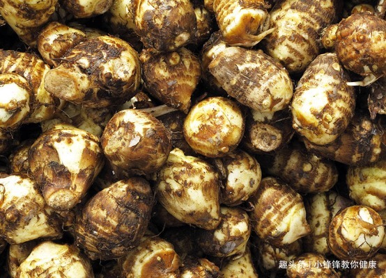 食物|长寿老人爱吃的此种食物,保护牙齿、解毒消肿,早知早受益