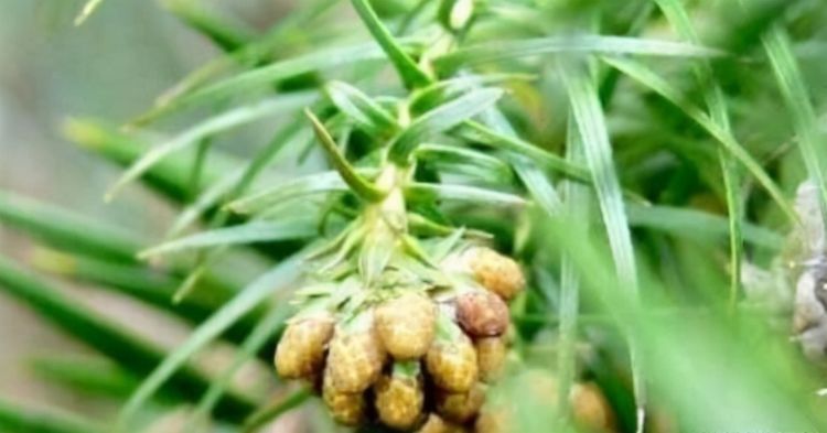 张医师|想身体变好,秋天多吃的食物,预防早衰,改善便秘,越吃越年轻