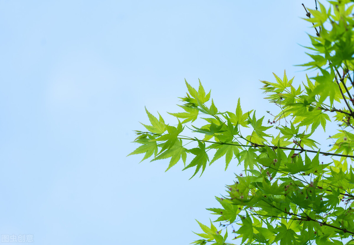 境界的人|一个人的最高境界是:不委屈自己,不亏欠别人