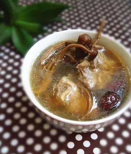  搭配|茶树菇怎么搭配比较美味？