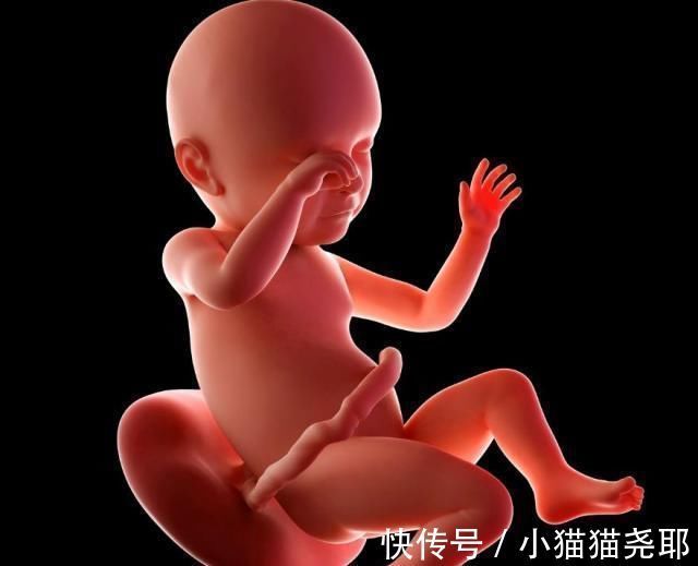 准妈妈|怀孕1~40周，每周身体有何变化？送你一份“孕期清单表”！