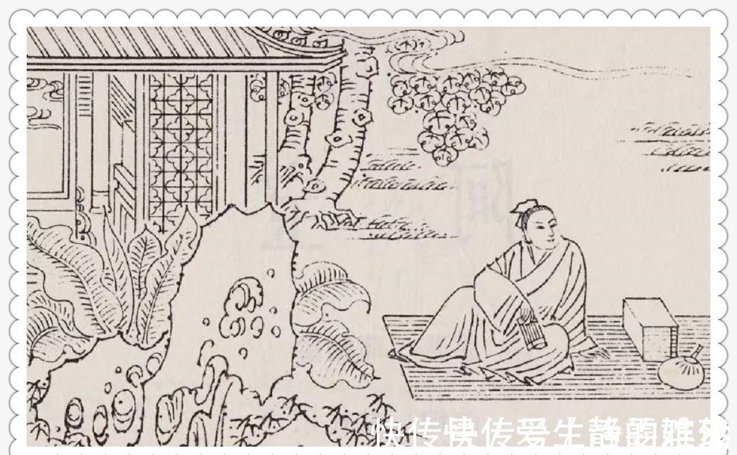 女官@新聊斋:书生树下熟睡,被一群小人抬走,入宫做3年皇帝后逃走