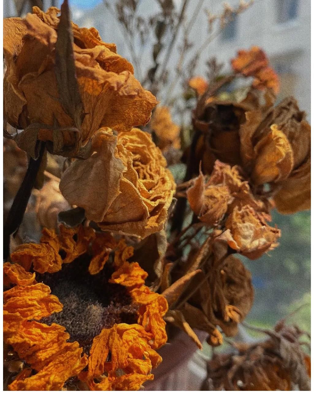 康菁菁|想出名只能學楊笠？網綜出身的素人有未來嗎？