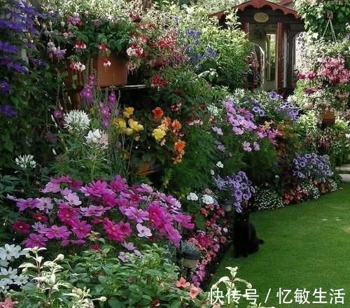 花园|15个私家小院花园设计,聚三两知己共饮,享受慢调生活