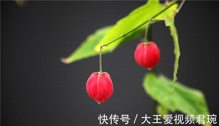 多言|一个人越来越走下坡路的两个征兆,大多是这两个字