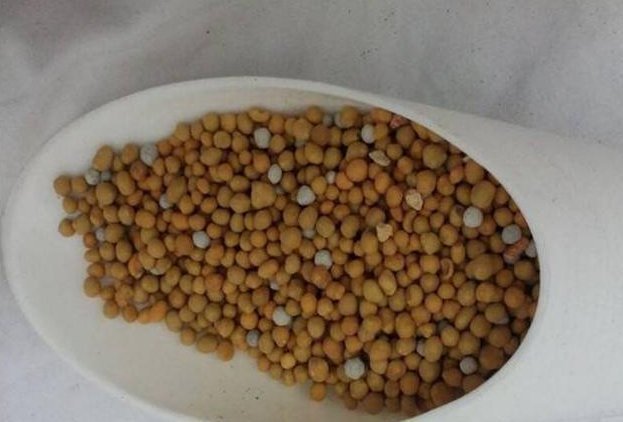 盆底|盆里扔2样东西,养花10年不烂根,叶子油光瓦亮,花苞挂满枝头