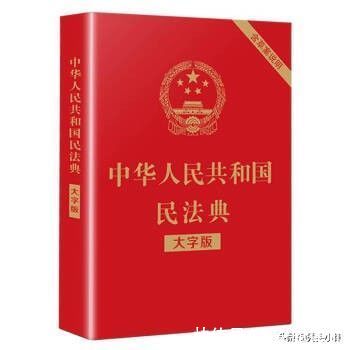借款|父母转给儿子三百多万买房，到底是赠与还是借款？