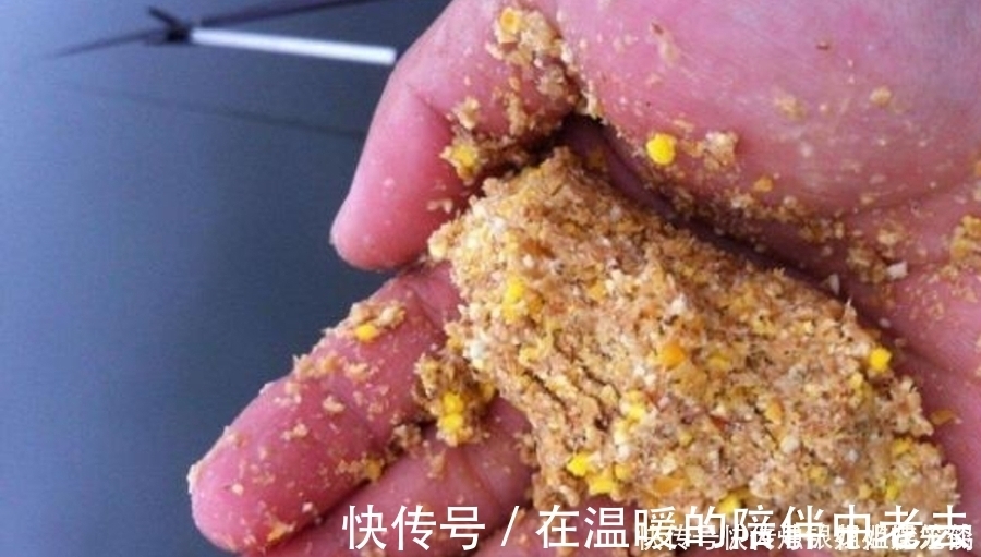 钓了三十年鱼,如今才公布:这诱鱼“八字诀”简单又实用,莫忽视