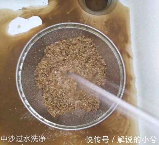 长寿花扦插,学他这样做,1盆能变50盆