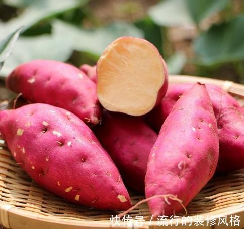 消化|秋季进补，这4种食物要常吃，营养美味易消化，滋补润燥两不误！