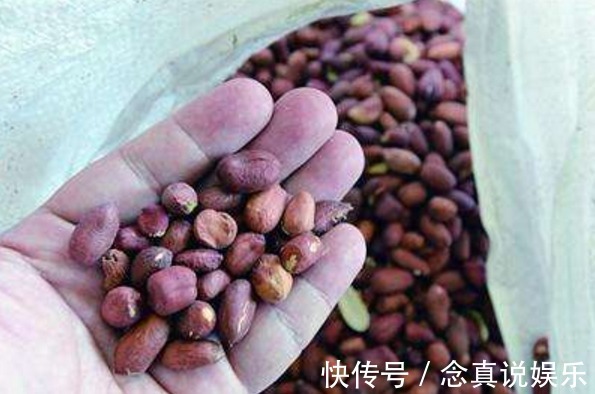 生病|煮粥别放这3件小东西,每吃一口,就会易生病,尤其是家庭主妇!