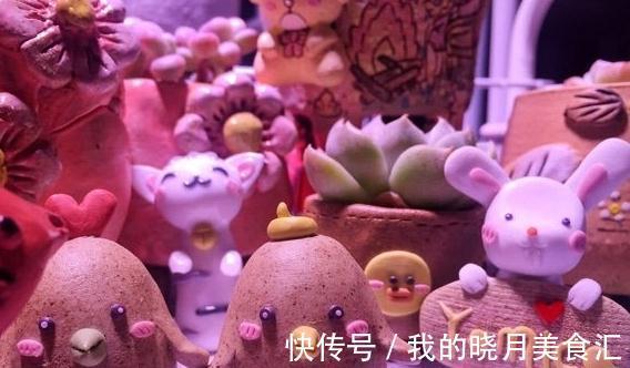 为什么你的多肉桃蛋总也养不圆,原来还有这些你忽略掉的原因