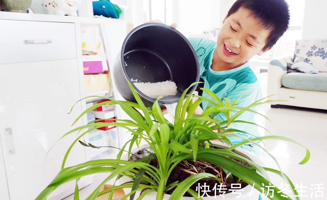 肥水|在家就能制作的养花肥水,制作方法简单,肥效好