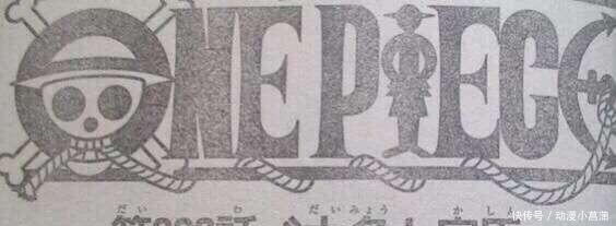 大妈|海贼王962情报:小菊男儿身又实锤,年轻大妈露脸,和女帝谁更美