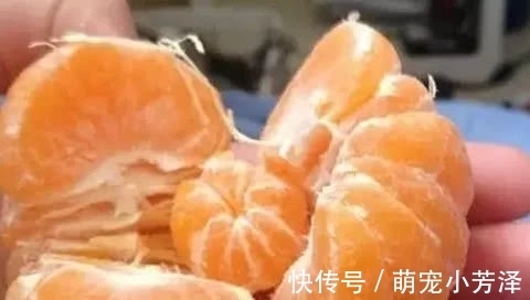花生|吃货踩了狗屎运的事情,多仁花生不算啥,最后才是中彩票一般的几率!