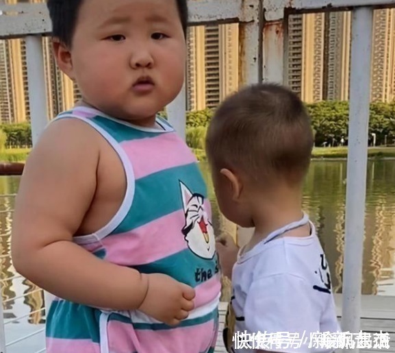 狮子|两个同龄宝宝在小区相遇,体型差距有点大,“小猫”遇上“狮子”