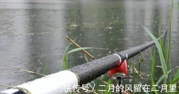 线组|有鱼无口,难怪越钓越烦,看老司机如何解决