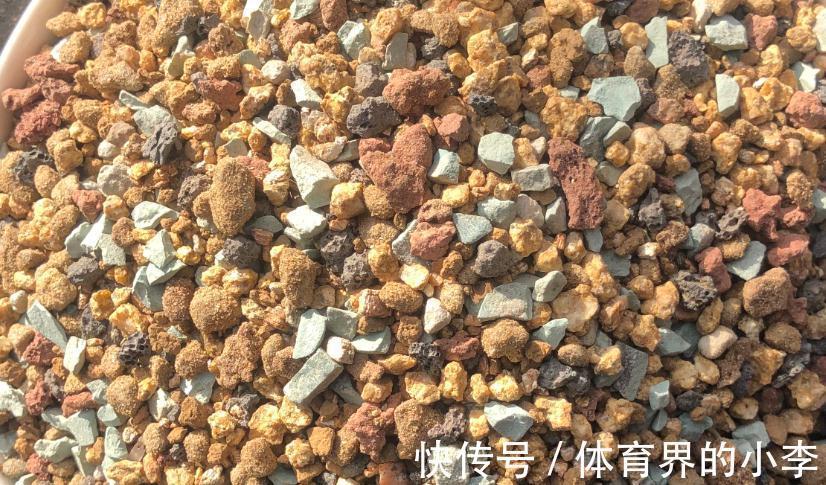 最实用的多肉配土,无需复杂简单就好,多肉配土详解