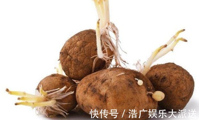 马铃薯|转告父母3种“食物”就算已经发芽,也可以放心的吃!
