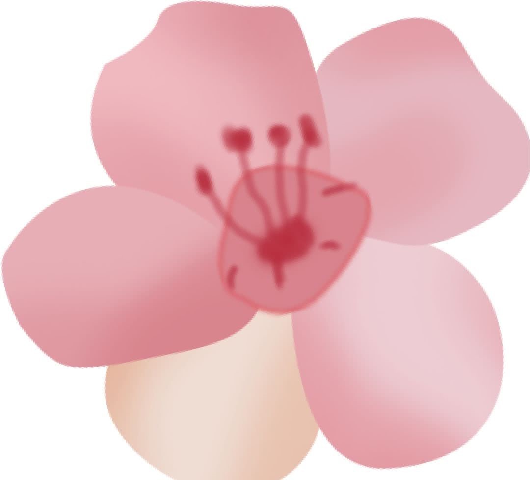 壮哉!新中国少年