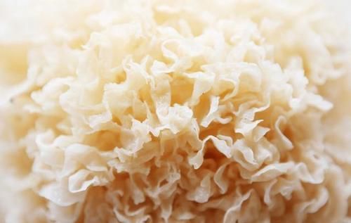 红枣|明日白露，别忘了“补露”，餐桌5宝要常吃，补充营养，轻松度秋