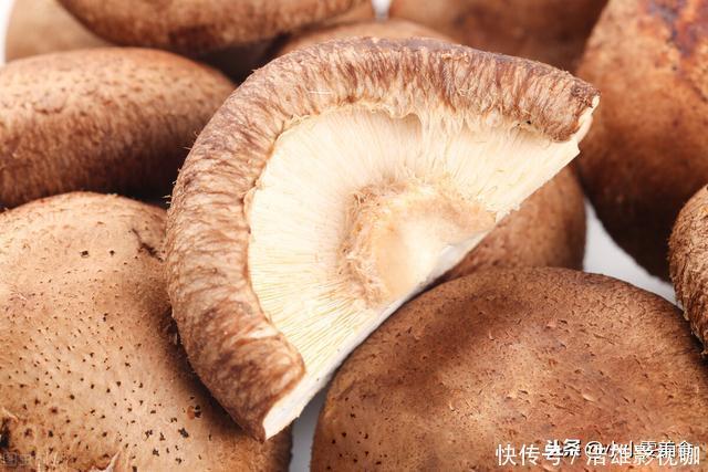 香菇,万不可只用清水洗,相当于吃虫卵