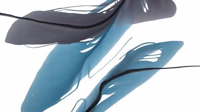 乌克兰|乌克兰艺术家安东·索科洛夫的水、彩画