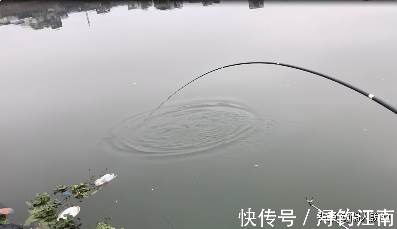 贪食|秋天的鱼都有贪食的弱点，如果你钓不上来，不妨来看看是哪里错了