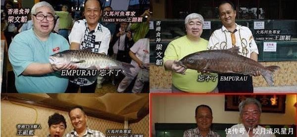 这条鱼只吃树上野果,每公斤3500元,蔡澜说它就是世界上最贵的鱼