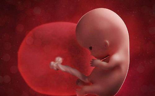 孕妇|到了胎儿“变形”高发期,孕妈要注意什么?这4个行为要避开