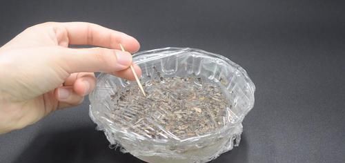 茶叶放白醋里泡一泡,真是厉害了,解决家家都困扰的烦恼,太棒了