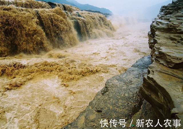 四川一男子黄河野钓遇怪鱼，长长的尾巴形似黄辣丁，网友：赚大了
