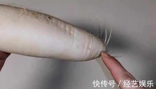 菜贩子|买白萝卜时,这3种千万不要买,菜贩子自己都不吃,抓紧提醒家人