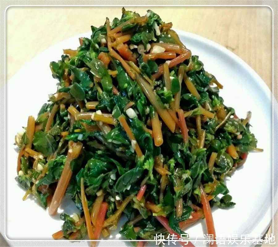 就可以|马齿苋这样做太香了,不炒不凉拌,一人吃一盘,比吃肉还香