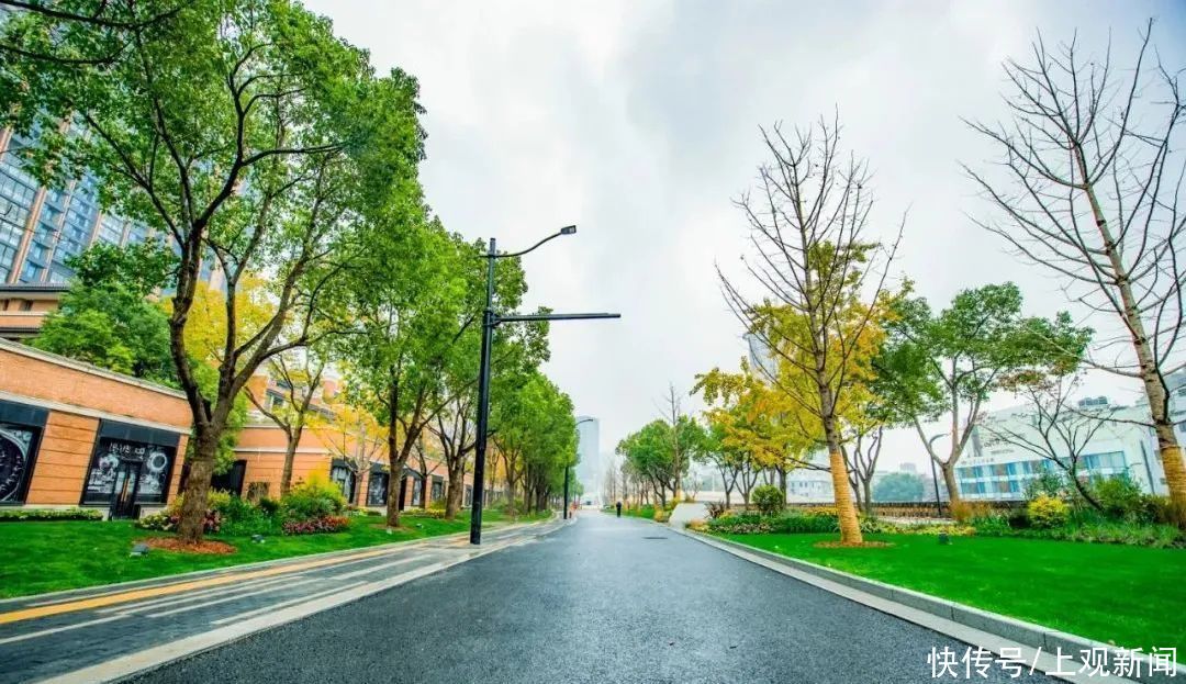 中年|时空隧道、光与夜之街……这段静安区超美滨江大道亮灯啦