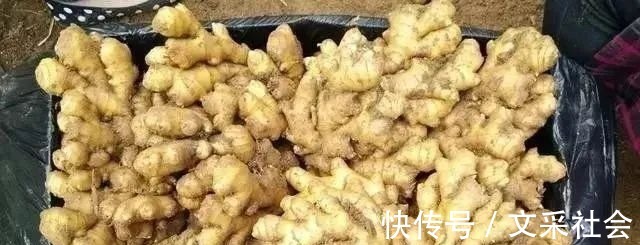 颈椎病|秘方来了!一碗老陈醋,赶走头晕手麻,和颈椎病、肩周炎说拜拜