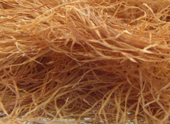 肾炎|除了玉米粒外，藏在玉米身上的这3大宝贝，好处你未必都知道