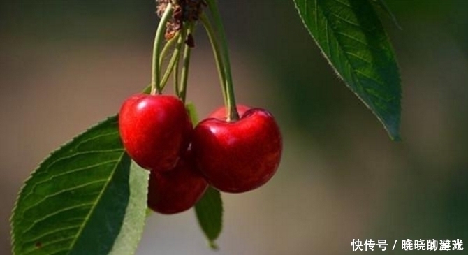 糖友们|糖尿病最怕的水果,糖友们的首选,三种最常见的水果