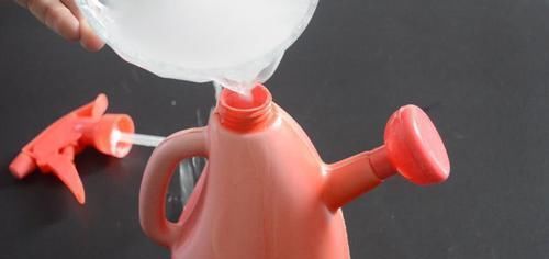 擦玻璃别用水了,教你用一秘招,擦完的玻璃光亮如新,方法太棒了