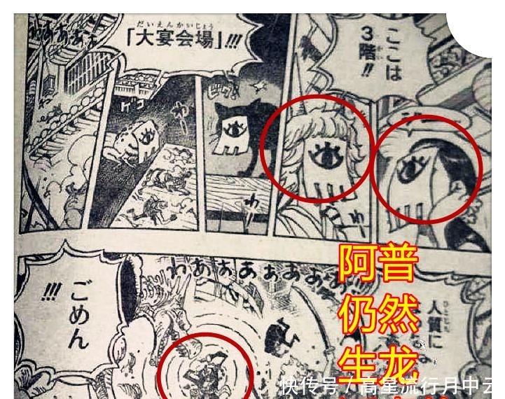 海贼王1005话,卡塔库栗上线并露脸,King火焰射击对马尔科没效果