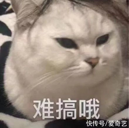 二次元|舞蹈生全力備戰(zhàn)合作舞臺，卻遇新賽制開啟競爭模式，將有A角無緣舞臺？