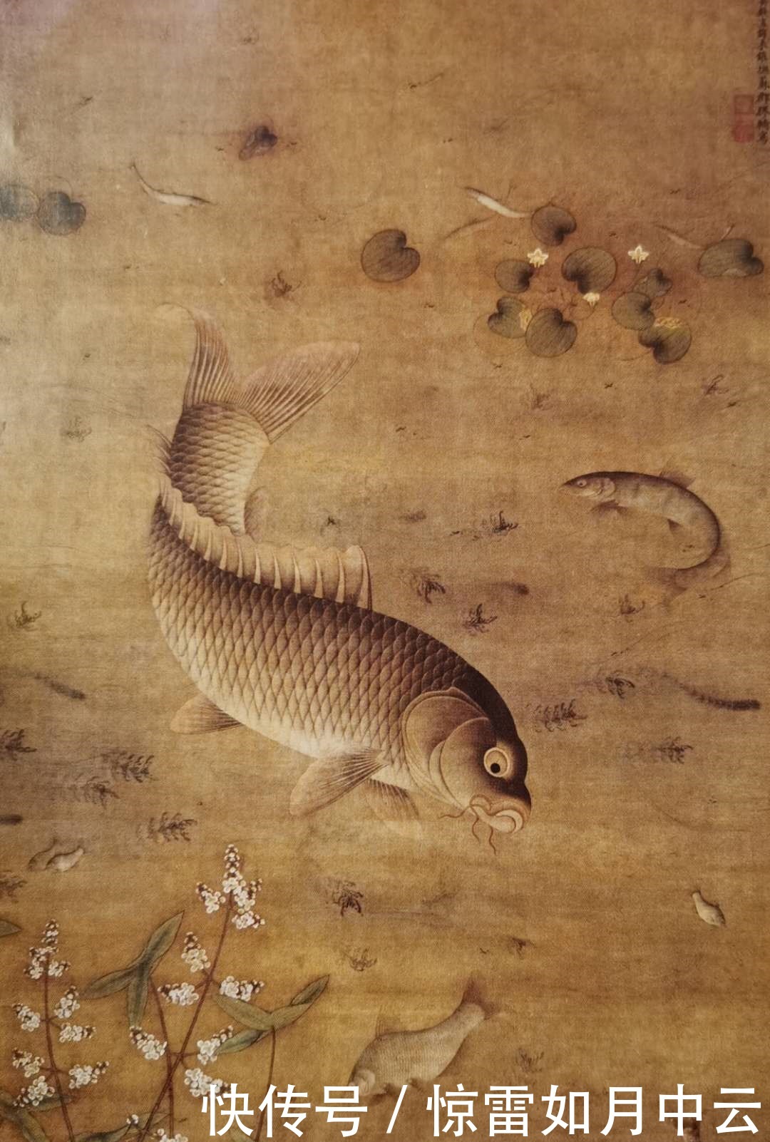 浪漫|《卢青说画,自说自画》‘正统’的画家们被什么束缚着想象力