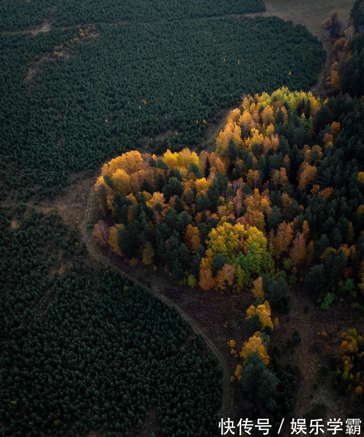 李白&苏轼题在寺庙墙壁上的一首诗,写出深刻人生哲理,百读不厌