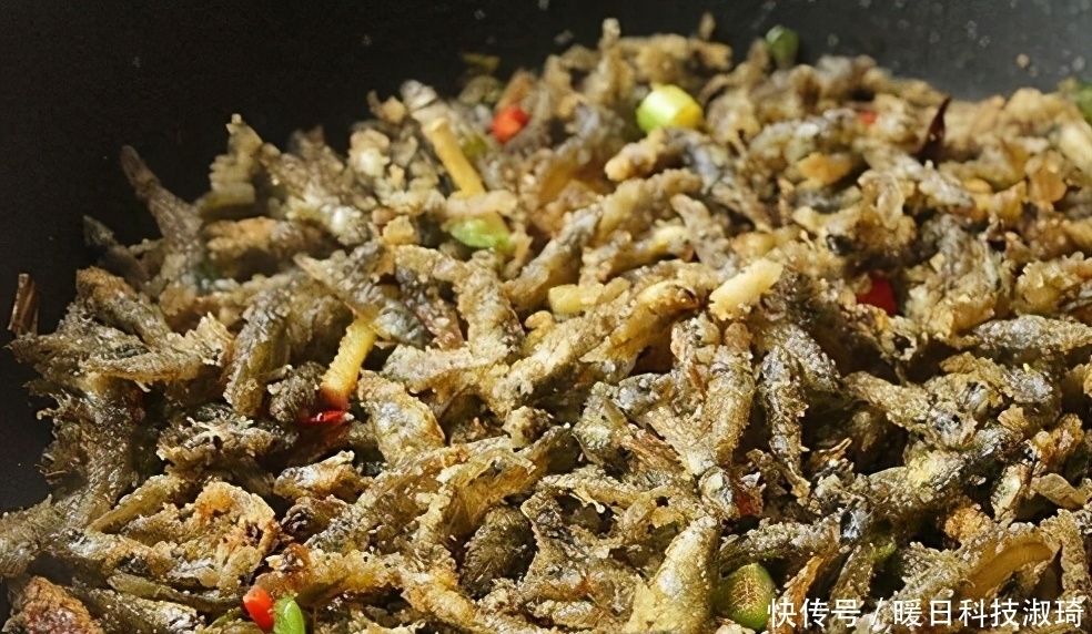 钓友|河道钓鱼却被“趴地虎”搞得心态爆炸？钓鱼人：这是四大害鱼之首