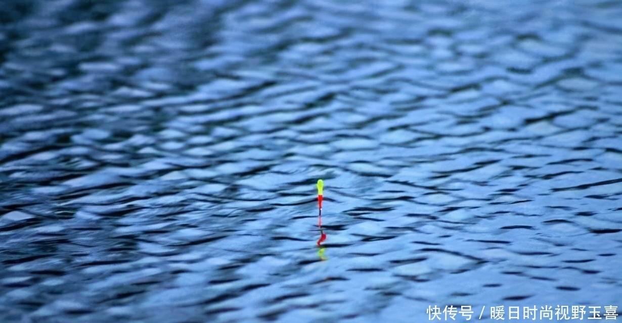 三目加粗的浮漂这么调，信号精准又清晰