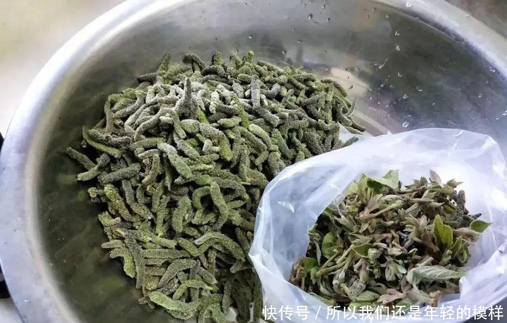這種樹上野菜,兒時一摘數十斤,上鍋一蒸就是美味,城里很難買到
