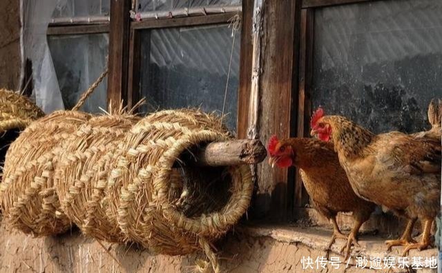 农村俗语”外甥头,舅家牛,叔嫂房,不通问“什么意思