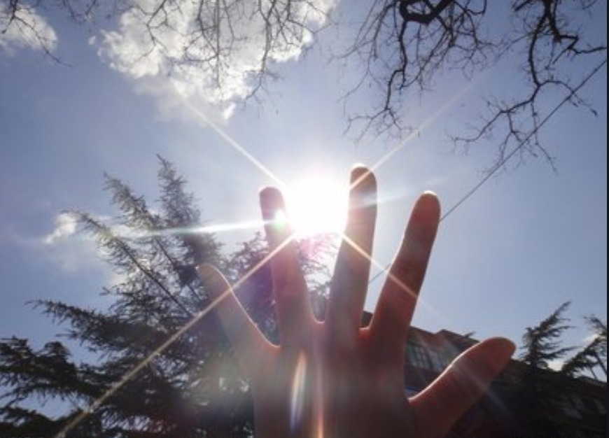 通阳|阳气产生于脾,根于肾,萌芽于肝!补阳方法大全在这里!